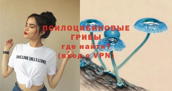 сатива Медвежьегорск
