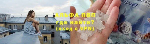 сатива Медвежьегорск