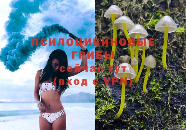 сатива Медвежьегорск