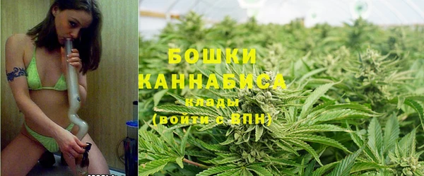 сатива Медвежьегорск