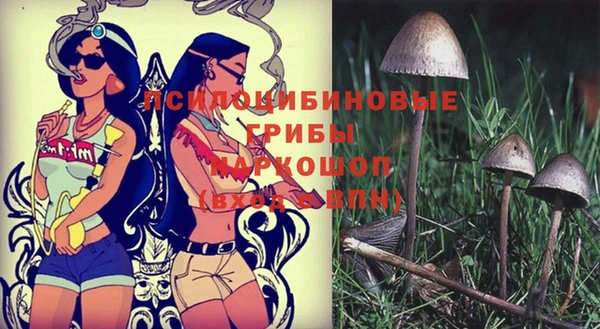 герыч Мегион